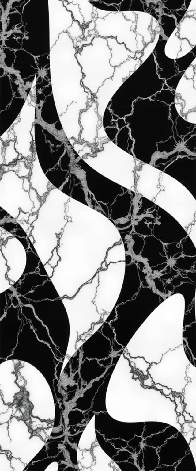 Black and White Marble Swirls Phone Case Black and White Marble Swirls Phone Case